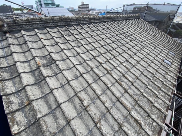 S__20914187_コピー