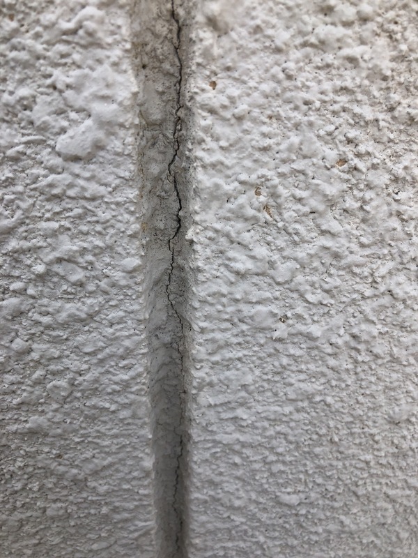 S__82509842_コピー