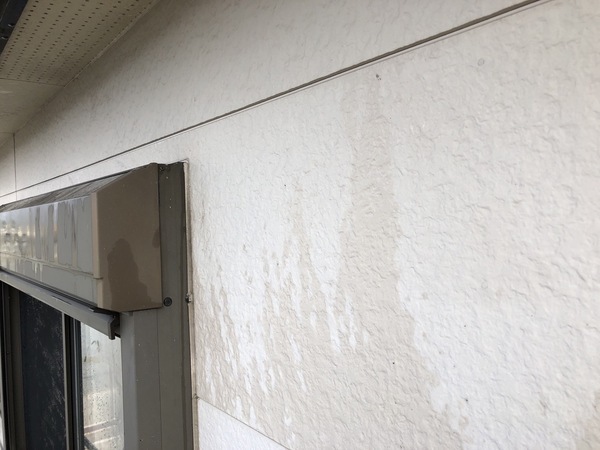 S__83345469_コピー