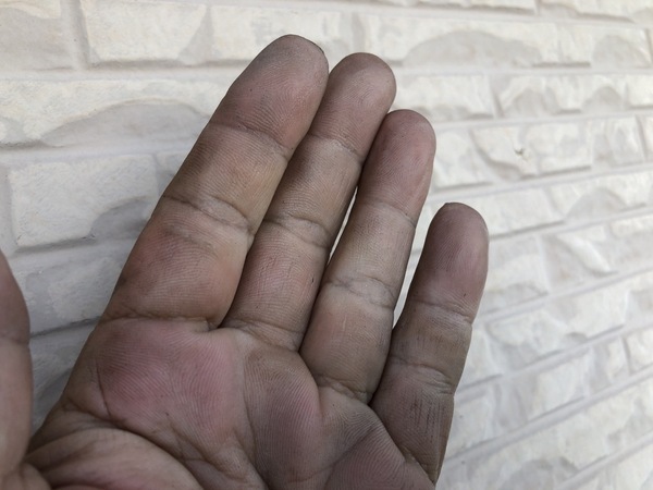 S__83345445_コピー