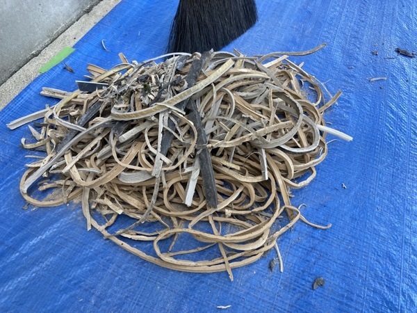 S__9265159_コピー