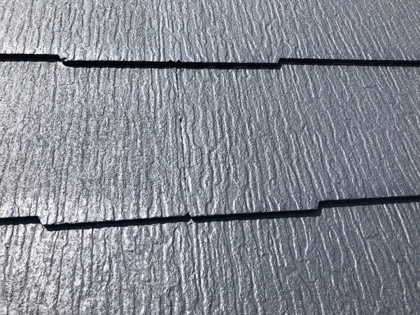 S__83558420_コピー