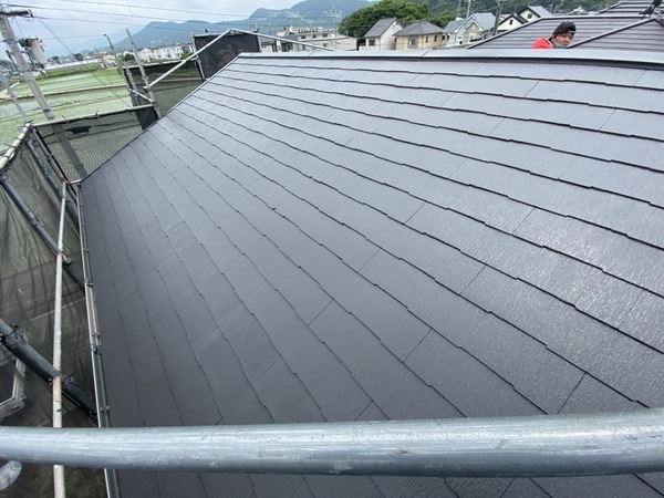 S__42483833_コピー