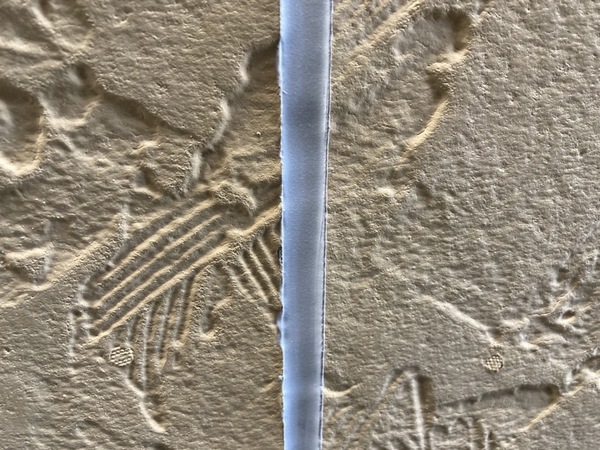 S__23314471_コピー