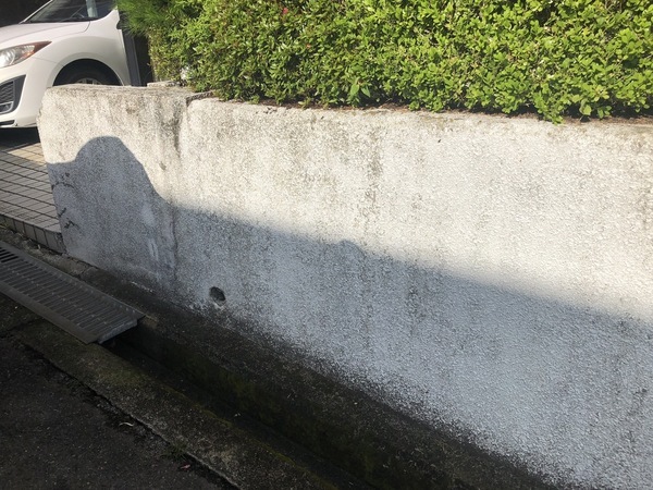 S__84738085_コピー