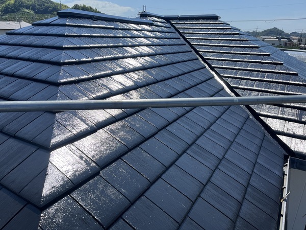 S__91316256_コピー