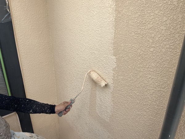 S__91373648_コピー