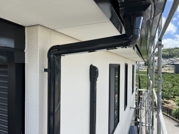 S__42991703_コピー