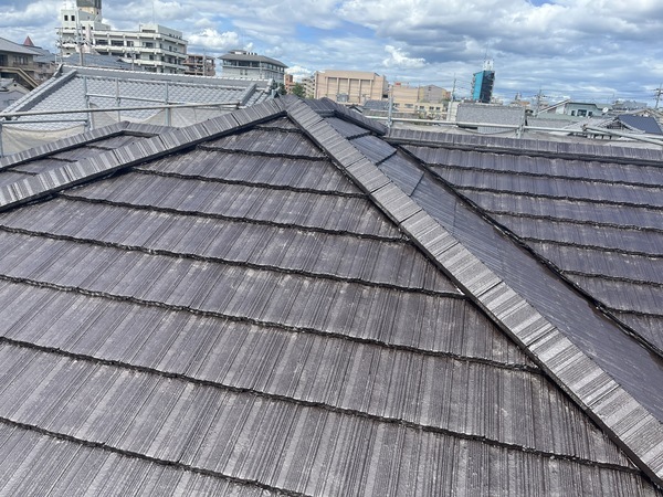 S__91545669_コピー