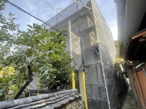 S__88580099_コピー