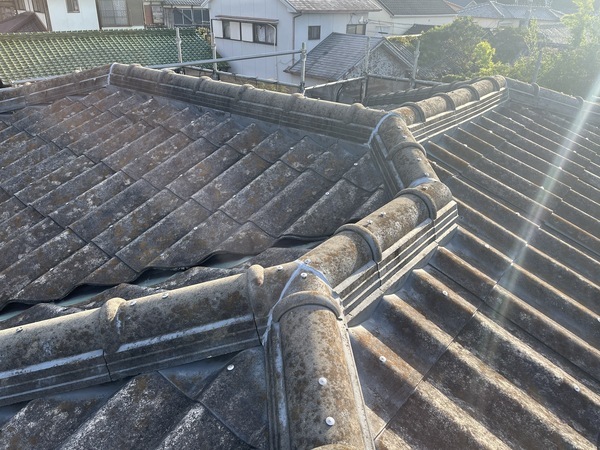 S__91561986_コピー