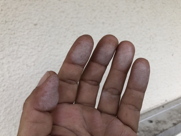 S__86442025_コピー