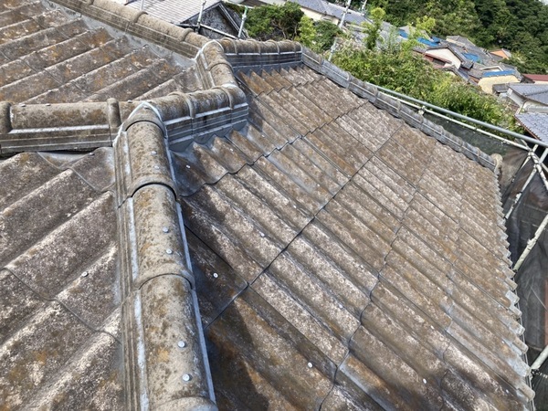 S__12681227_コピー