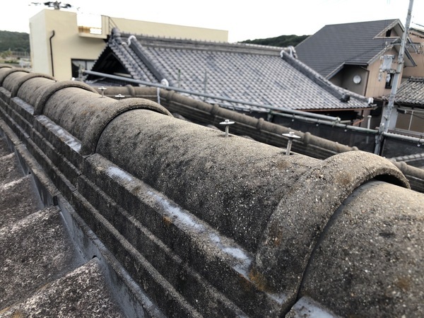 S__86442020_コピー