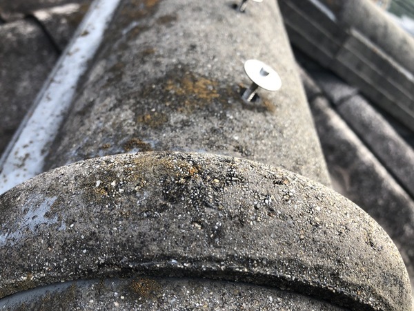 S__86442021_コピー