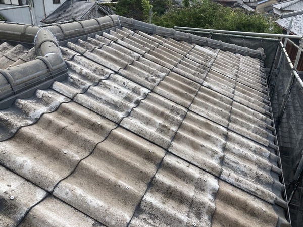 S__27049996_コピー