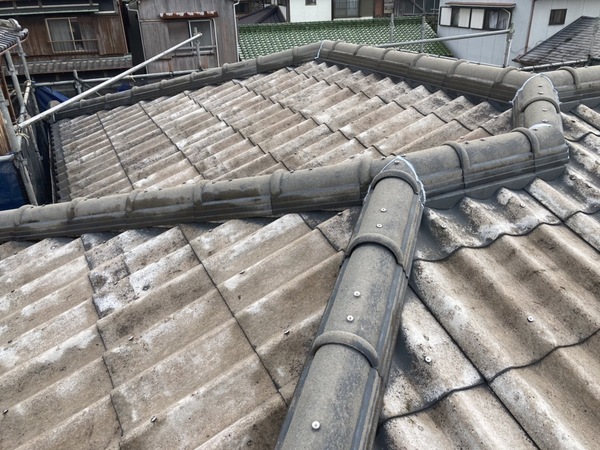 S__27049995_コピー