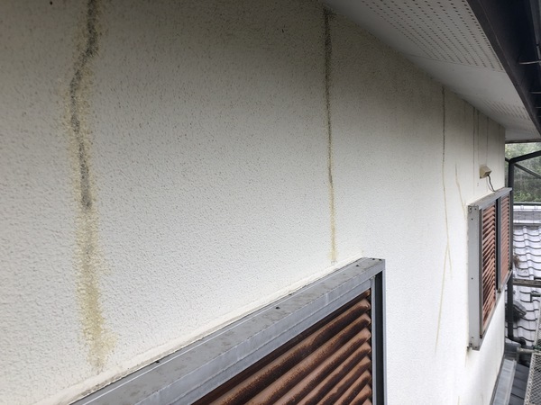 D9AA7EF4-8A1A-478C-8847-27F3A923A85B_コピー