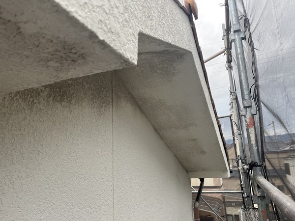 S__91635807_コピー