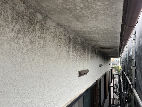 S__91635812_コピー