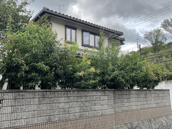 S__91914254_コピー