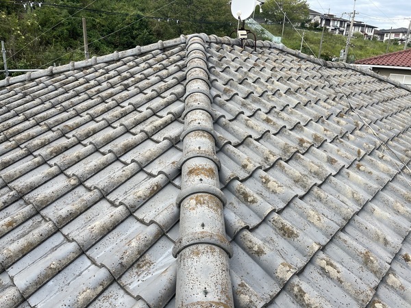 S__91922436_コピー