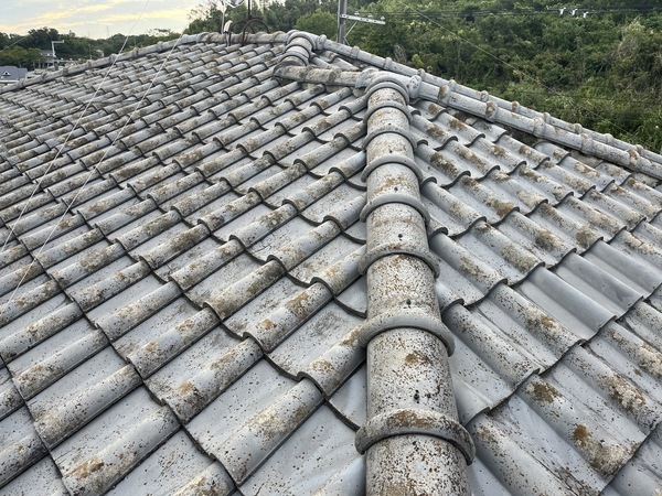 S__91922437_コピー