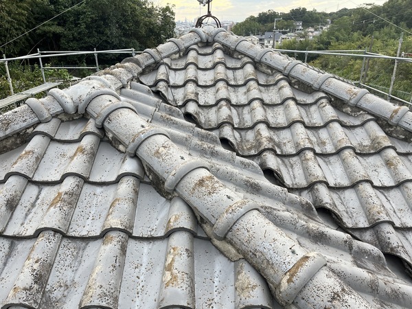 S__91922438_コピー