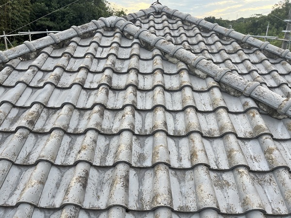 S__91922439_コピー