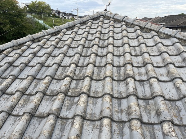 S__91922440_コピー