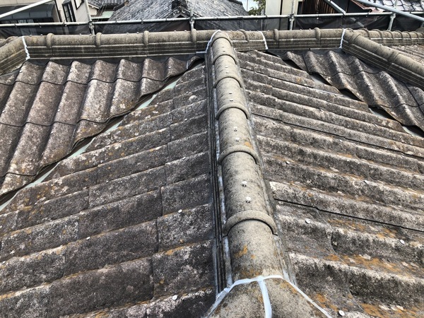 S__86442017_コピー