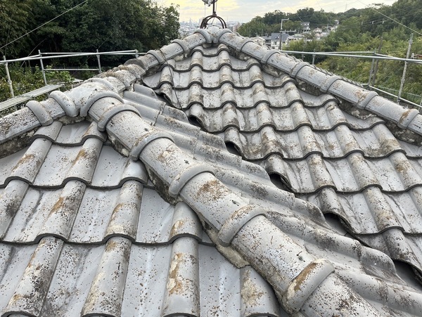 S__13393964_コピー