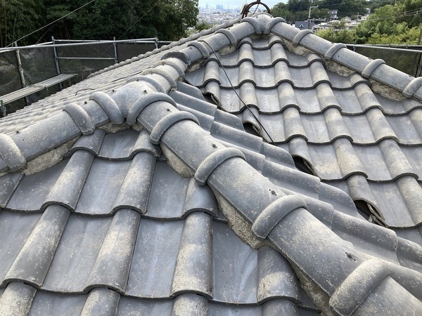 S__13393965_コピー