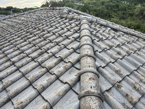 S__13393966_コピー