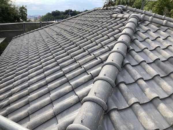 S__13393967_コピー