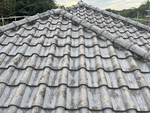 S__13393968_コピー