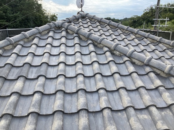 S__13393969_コピー