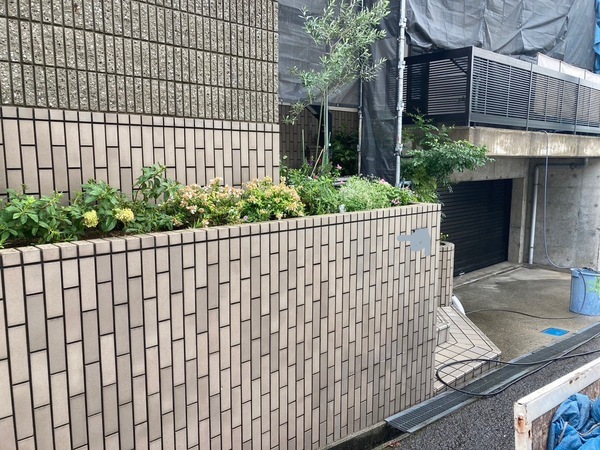 S__54444041_コピー