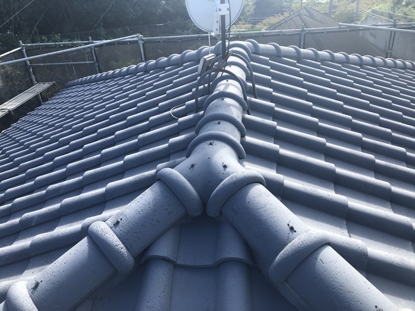 0D6C9578-227D-49AE-B229-30F5112BDE6F_コピー