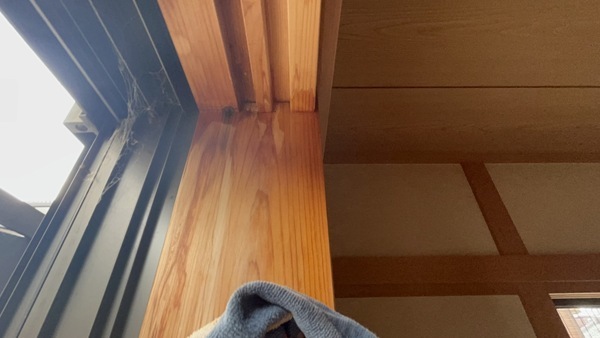 S__54968324_コピー