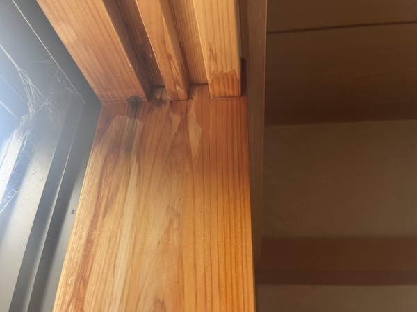 S__54968322_コピー