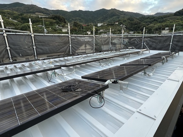 S__43426219_コピー