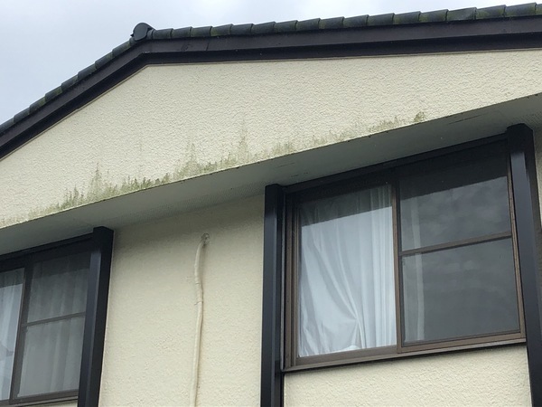 S__88801302_コピー