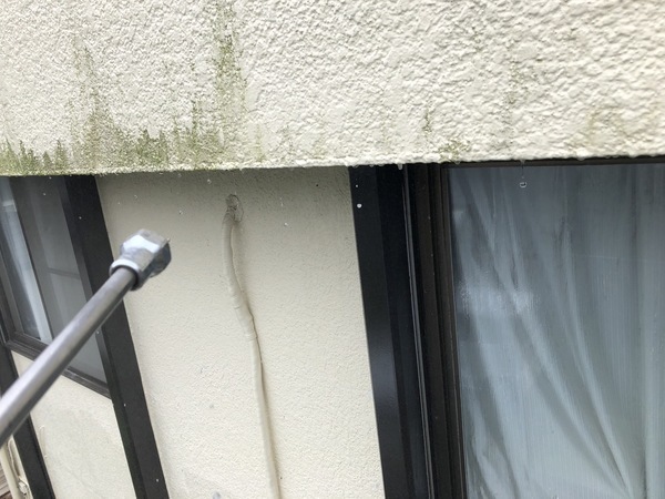 S__88801305_コピー