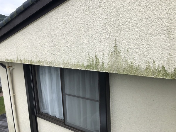 S__88801306_コピー