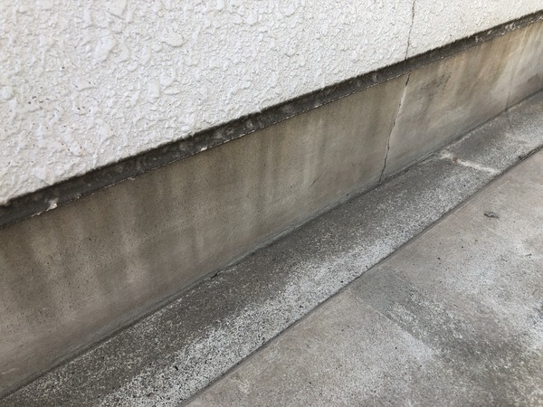 S__89260079_コピー