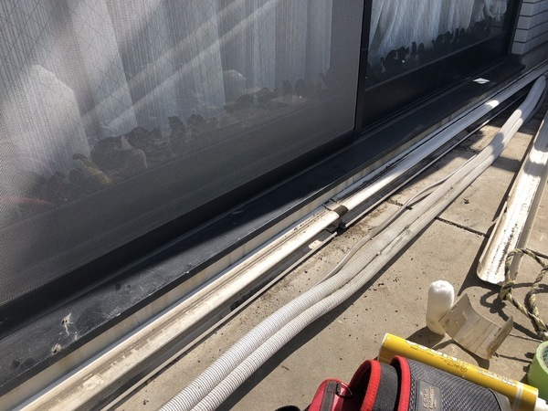 S__89260072_コピー