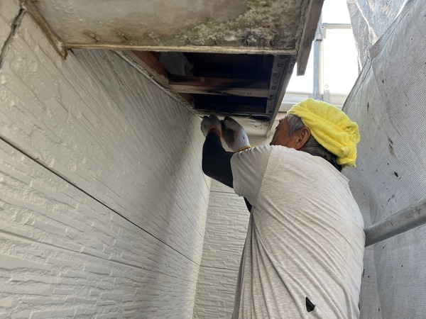 S__93241385_コピー