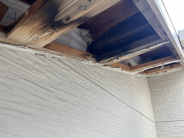 S__93241386_コピー