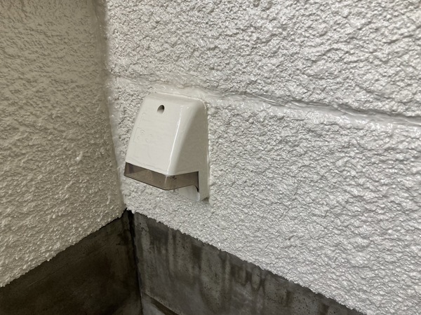 S__31481864_コピー